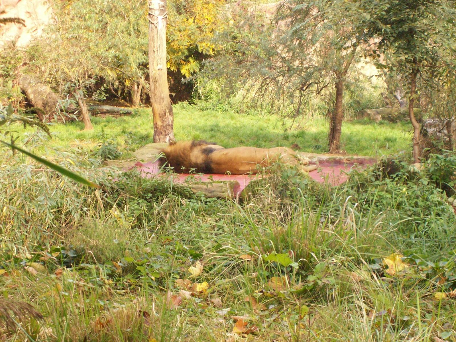 Zoom 18.10.2008-043.jpg